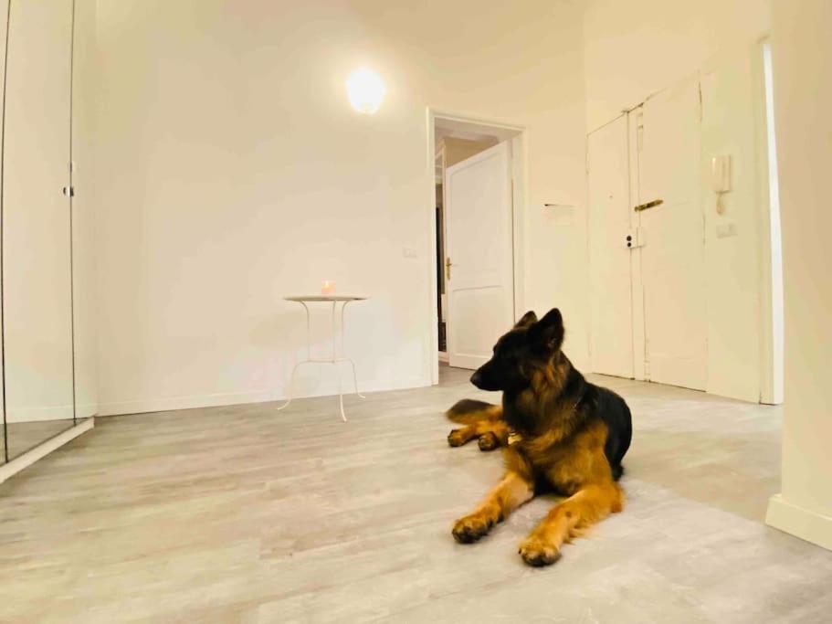 Mamisa Rome, Appartamento Con Parcheggio Privato E Gratuito ภายนอก รูปภาพ